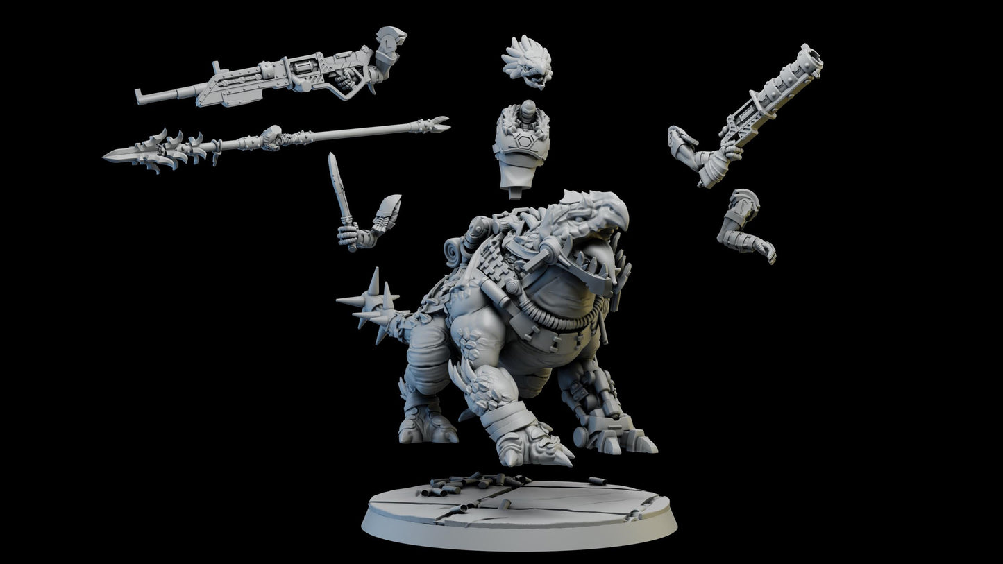 Ravok Riders - Set of 4