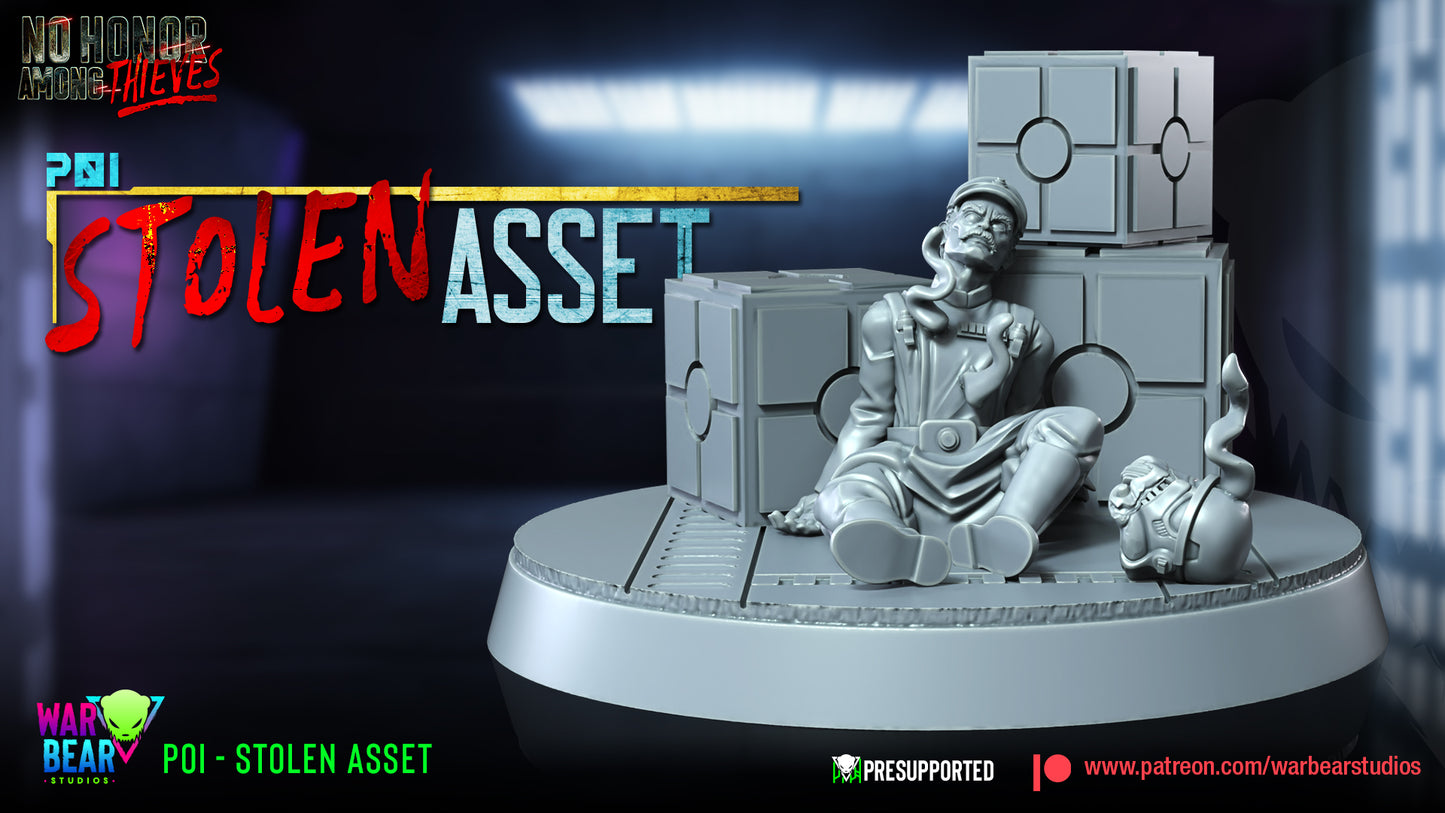 POI - Stolen Asset