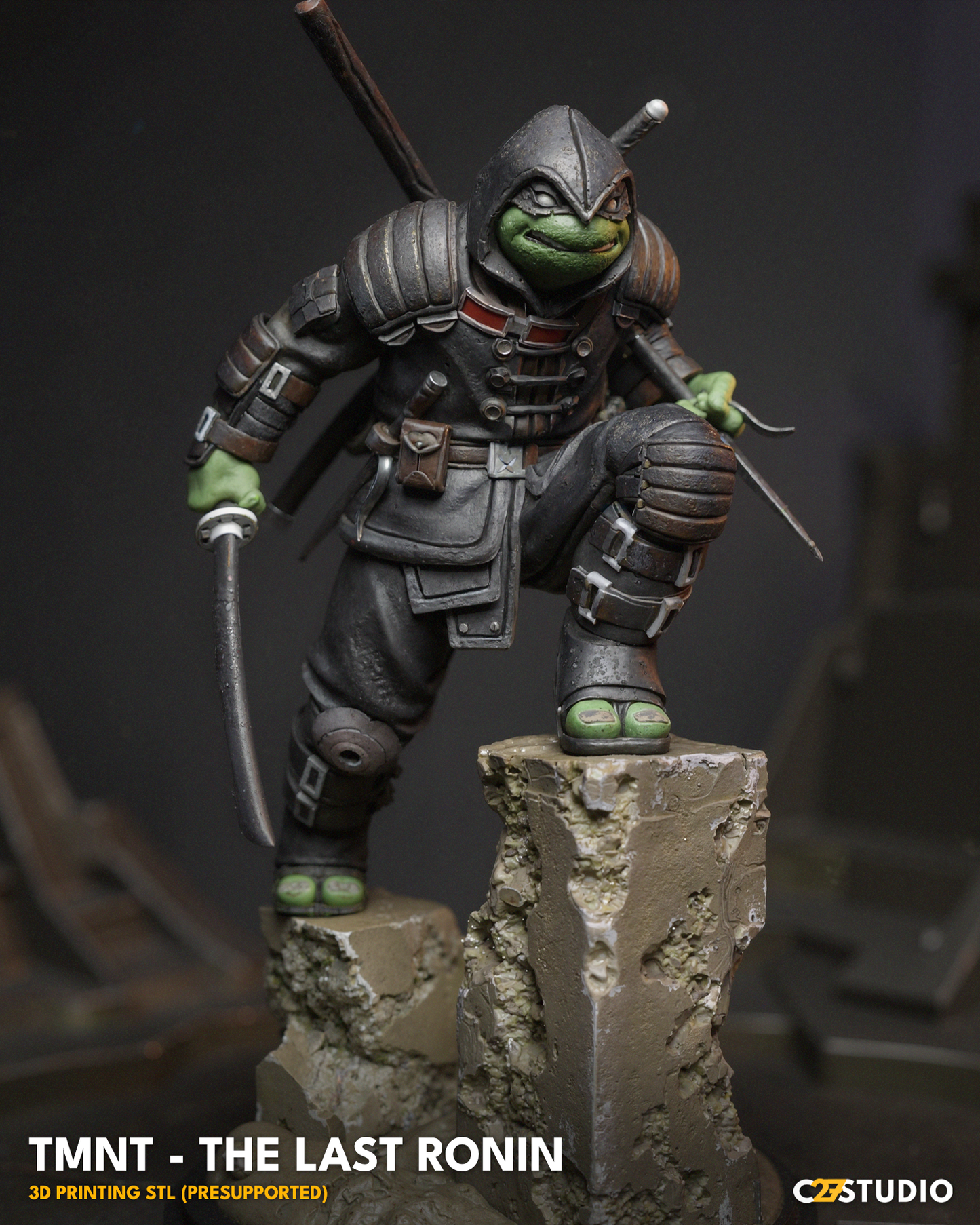 The Last Ronin