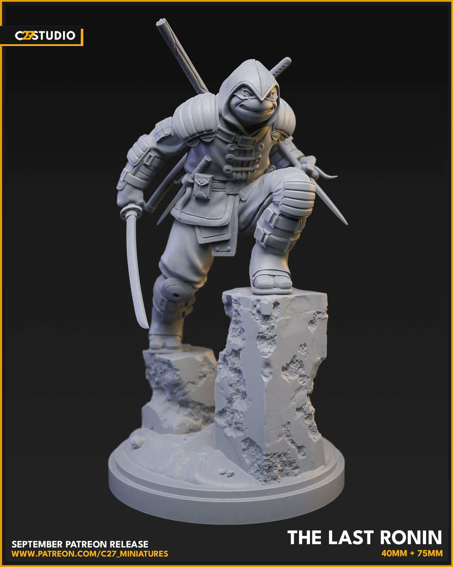 The Last Ronin