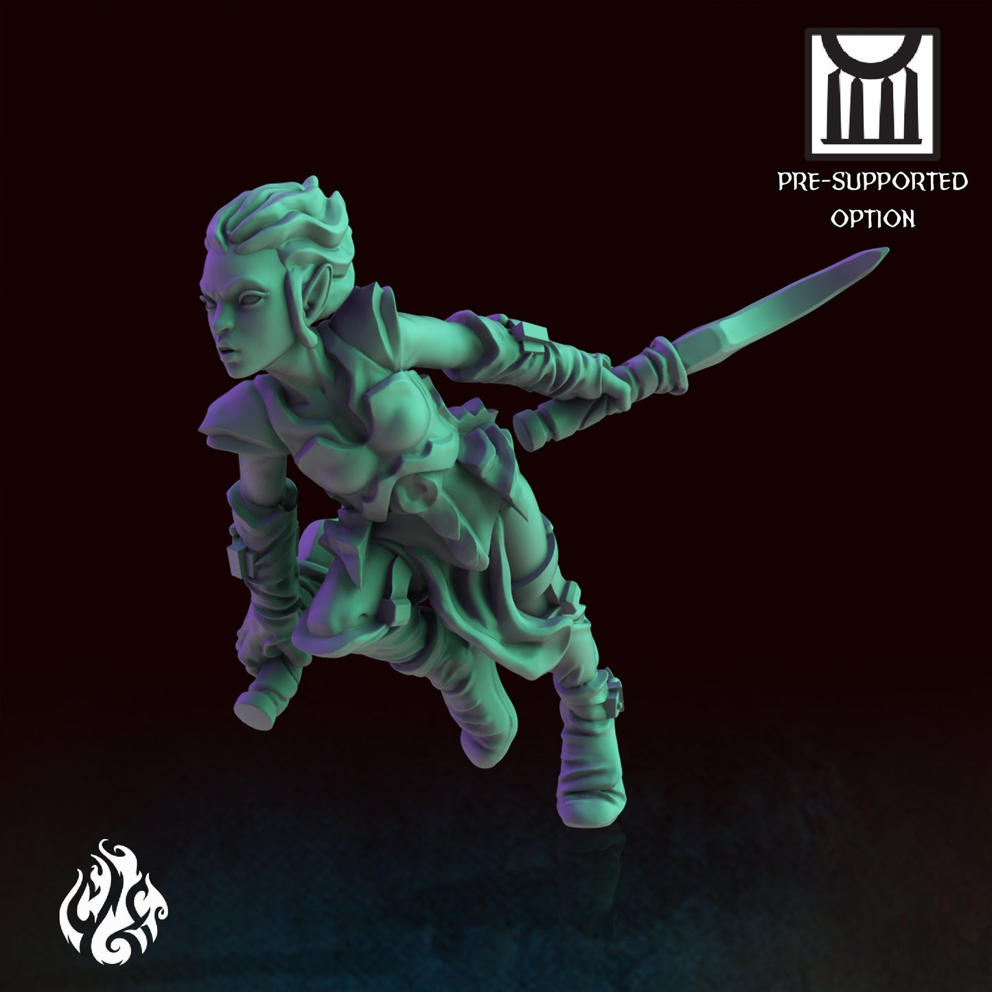 Heroes - Assassin Drow Elf