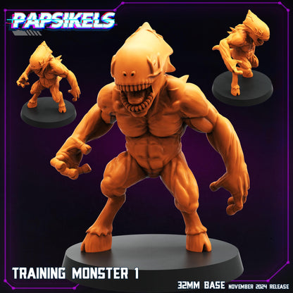 Training Monster 1