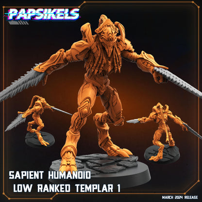Sapient Humanoid Low Ranked Templar - 01