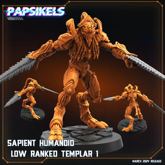 Sapient Humanoid Low Ranked Templar - 01