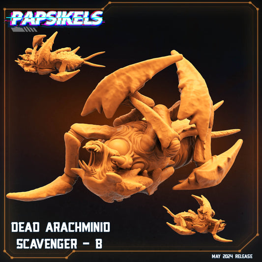 Dead Arachminid Scavenger - B