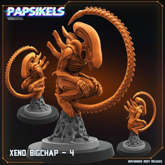 Xeno Big Chap - 4