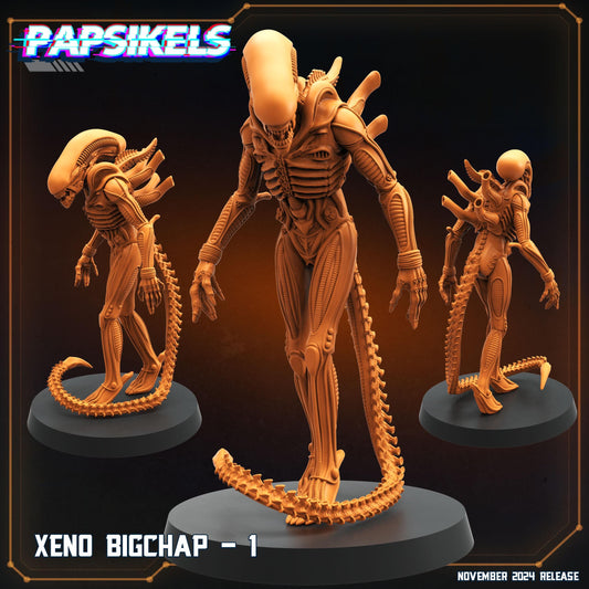 Xeno Big Chap - 1