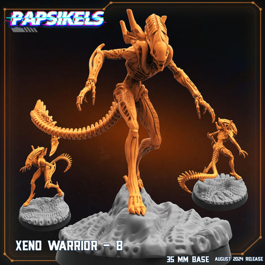 Xeno Warrior B