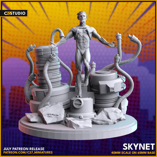 Sky Net
