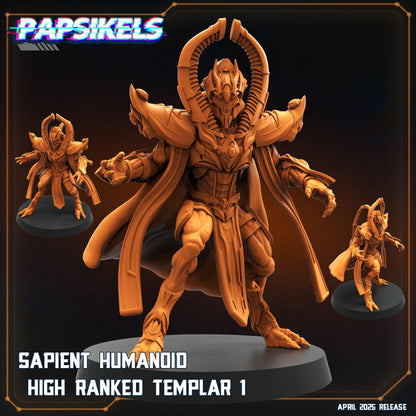 Sapient Humanoid High Ranked Templar - 1
