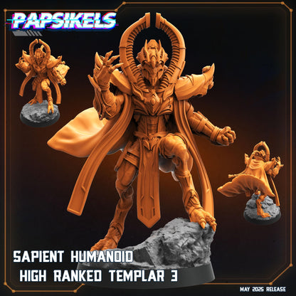 Sapient Humanoid High Ranked Templar - 3