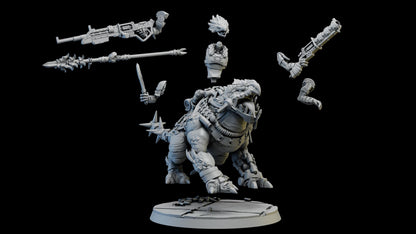 Ravok Riders - Set of 4