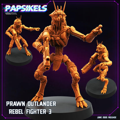 Prawn Outlander Rebel Fighter - 3