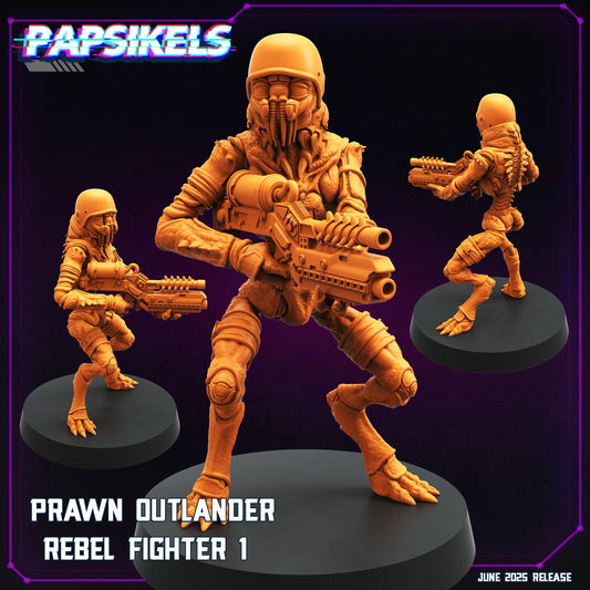 Prawn Outlander Rebel Fighter - 1
