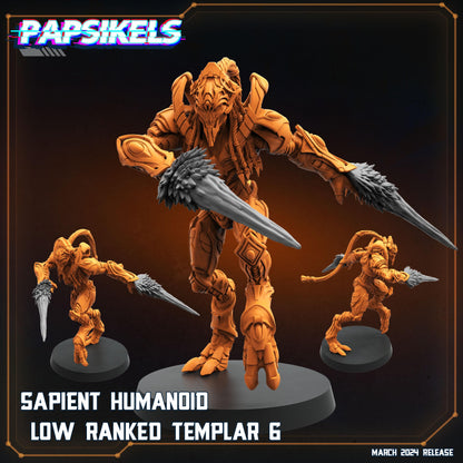 Sapient Humanoid Low Ranked Templar - 06