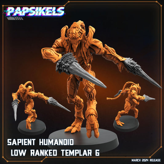 Sapient Humanoid Low Ranked Templar - 06