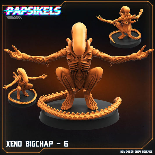 Xeno Big Chap - 6