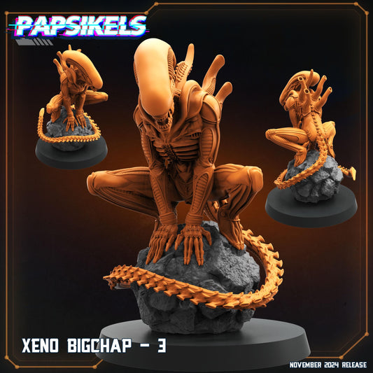 Xeno Big Chap - 3