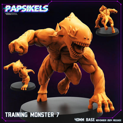 Training Monster 7