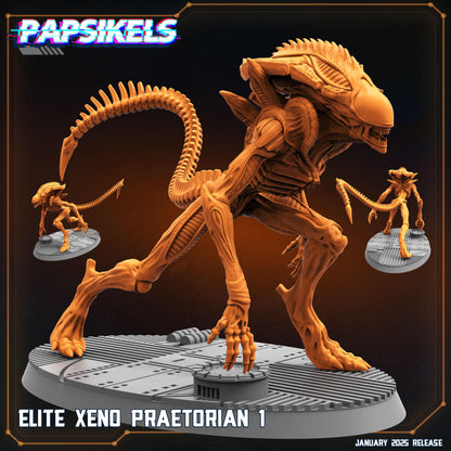 Elite Xeno Praetorian - 1