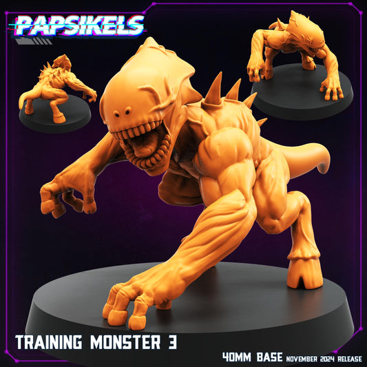 Training Monster 3