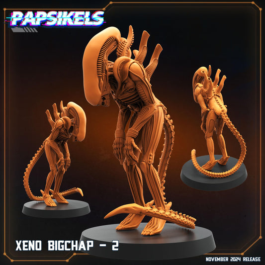 Xeno Big Chap - 2