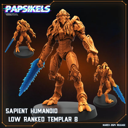 Sapient Humanoid Low Ranked Templar - 08