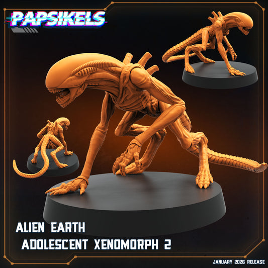 Alien Earth Adolescent Xenomorph 2