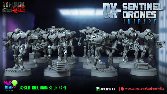 DX-Sentinel Drones