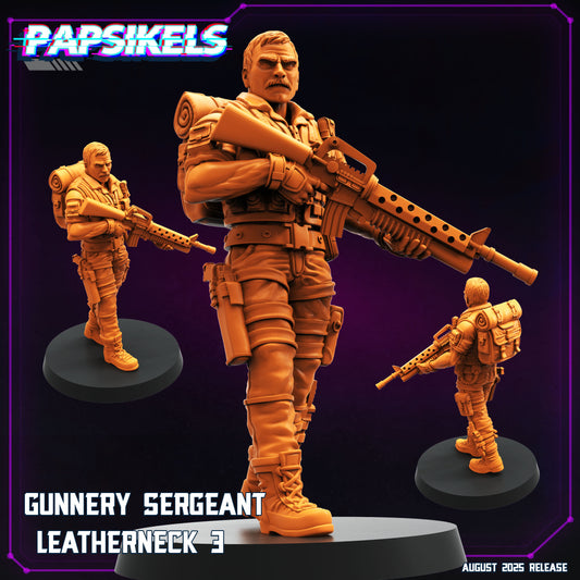Gunnery Sergeant Leatherneck - 3