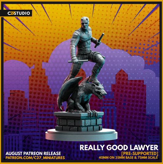Really Good Lawyer