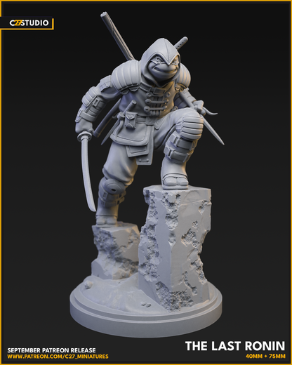 The Last Ronin