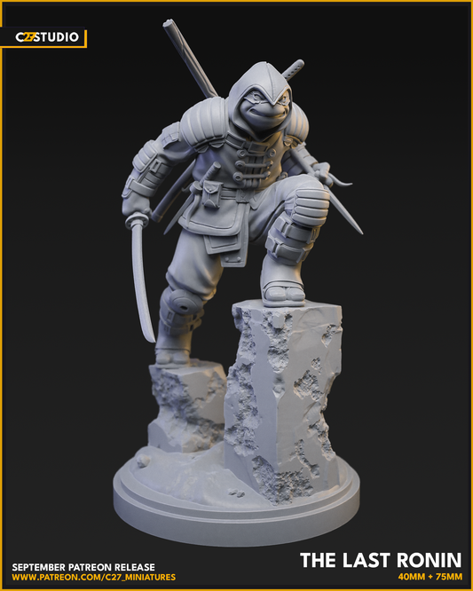 The Last Ronin