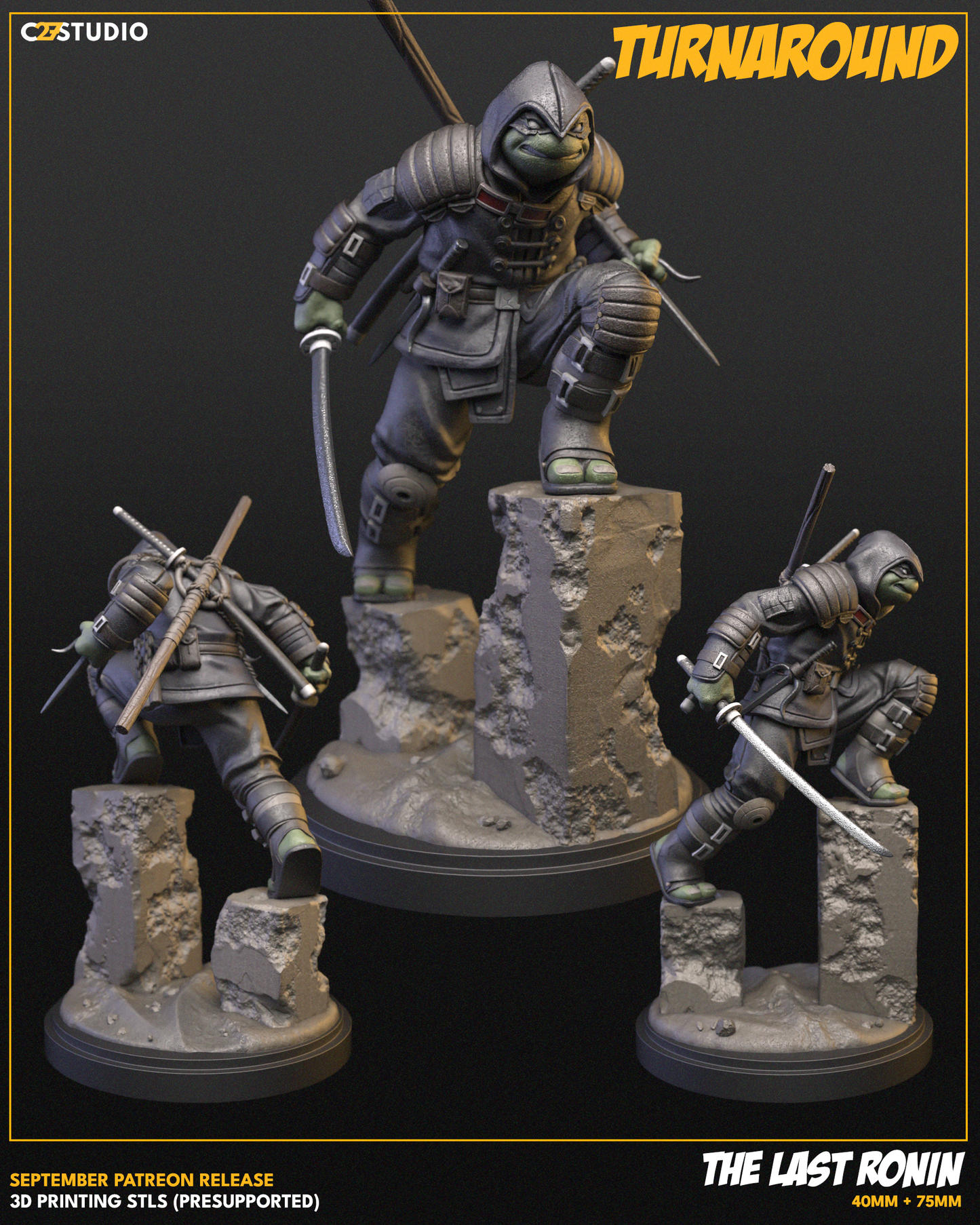 The Last Ronin