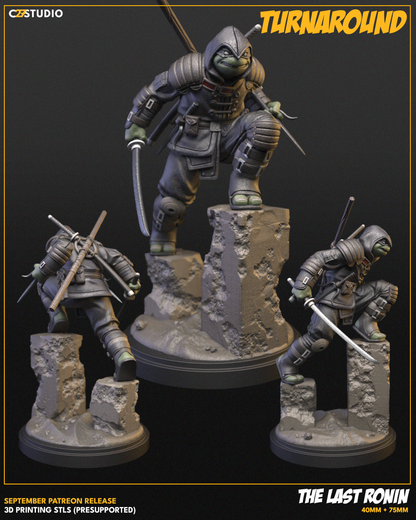 The Last Ronin