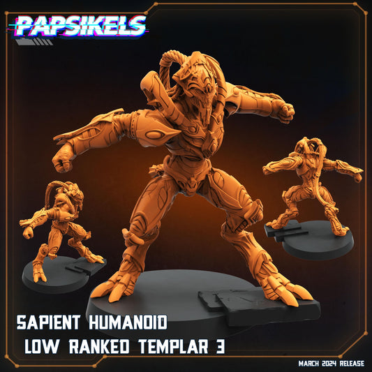 Sapient Humanoid Low Ranked Templar - 03