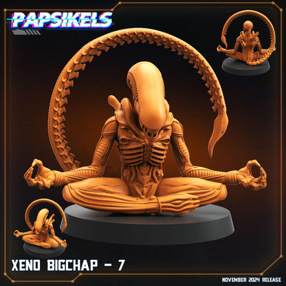 Xeno Big Chap - 7
