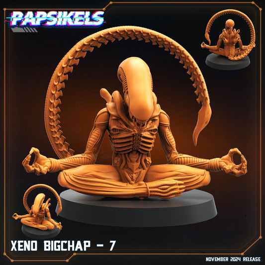 Xeno Big Chap - 7