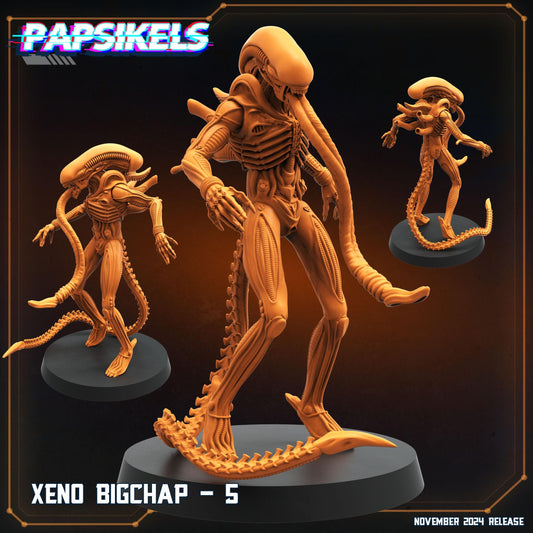 Xeno Big Chap - 5