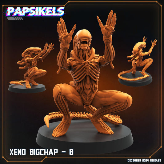 Xeno BigChap - 8
