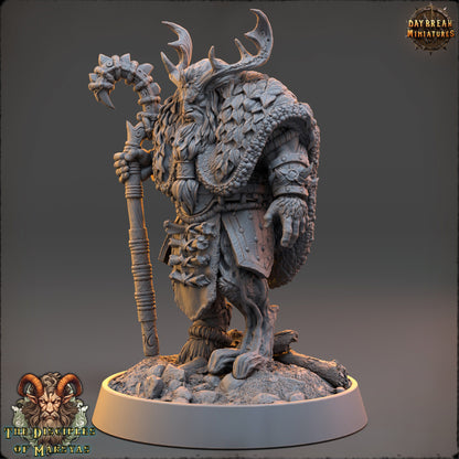 Forius the Elder | DnD Miniatures | Tabletop Gaming Miniature | Fantasy-War Games