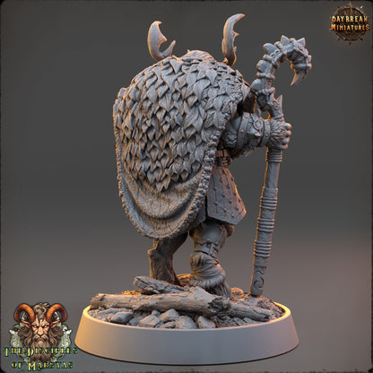 Forius the Elder | DnD Miniatures | Tabletop Gaming Miniature | Fantasy-War Games