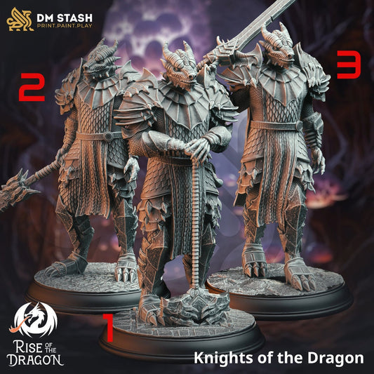 Knights of the Dragon | DnD Miniatures | Tabletop Gaming Miniature | Fantasy-War Games