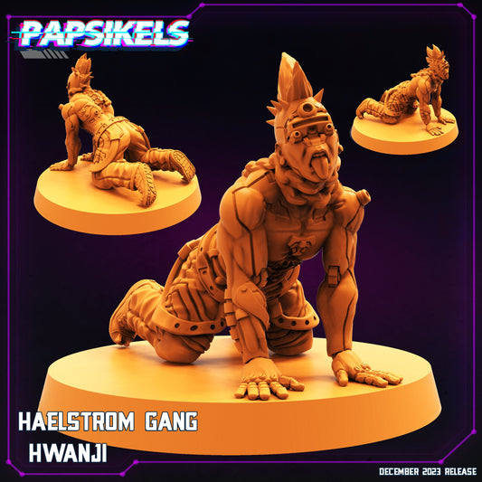 Haelstom Gang Hwanji | DnD Miniatures | Tabletop Gaming | Tabletop Miniature | Sci-Fi | Cyberpunk