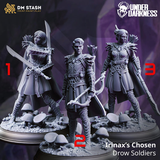 Irinax’s Chosen - Drow Soldiers