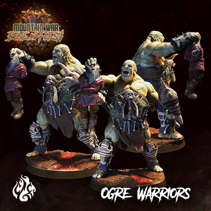 Ogre Warriors