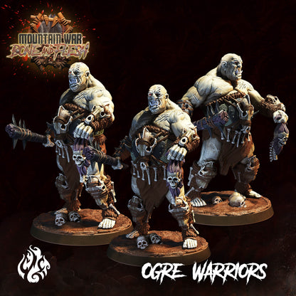 Ogre Warriors