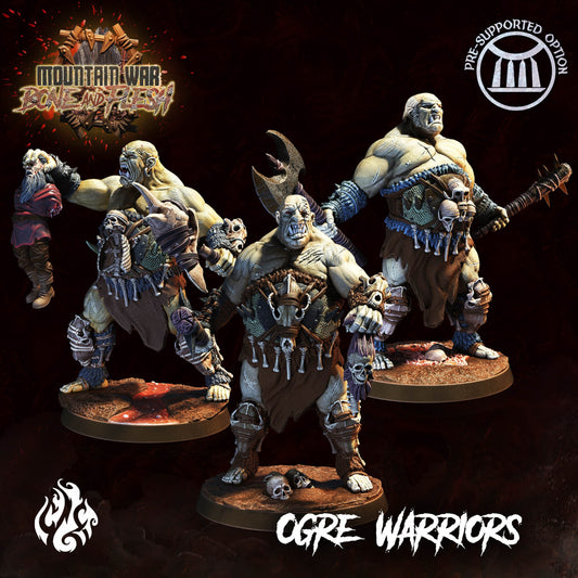 Ogre Warriors