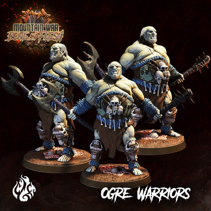 Ogre Warriors