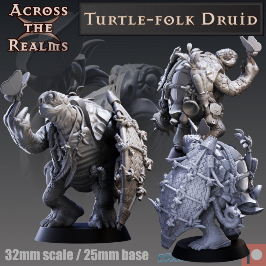 Turtle-Folk Druid